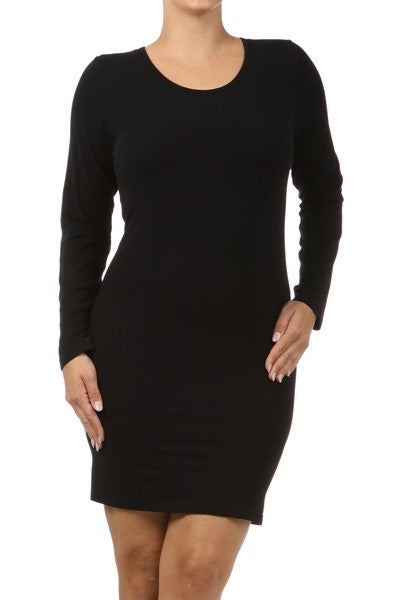 Plus Size Long Sleeve dress fit top.