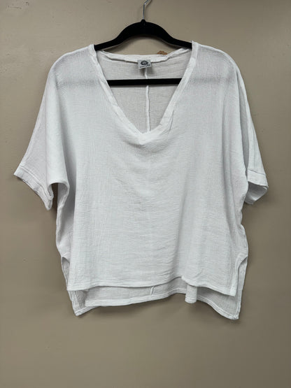 V Neck Loose  Linen Top. 3474